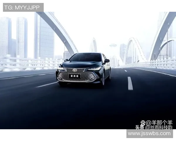 北京排球队在洲际杯积分榜中以61分稳居第一名展现强劲实力