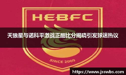 天狼星与诺科平激战正酣比分揭晓引发球迷热议